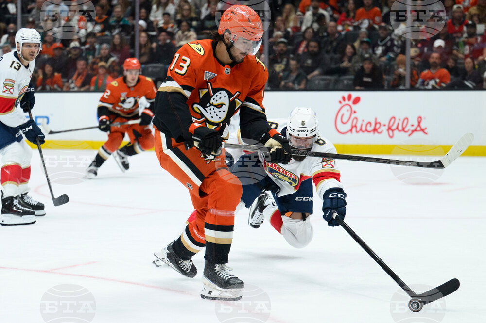 Panthers Ducks Hockey