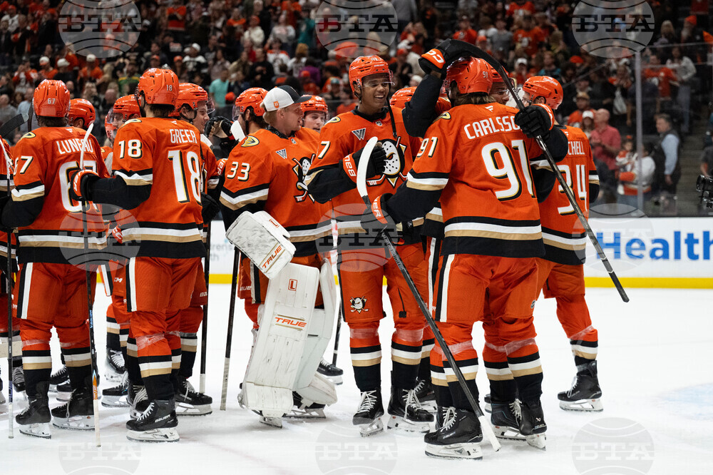 Panthers Ducks Hockey