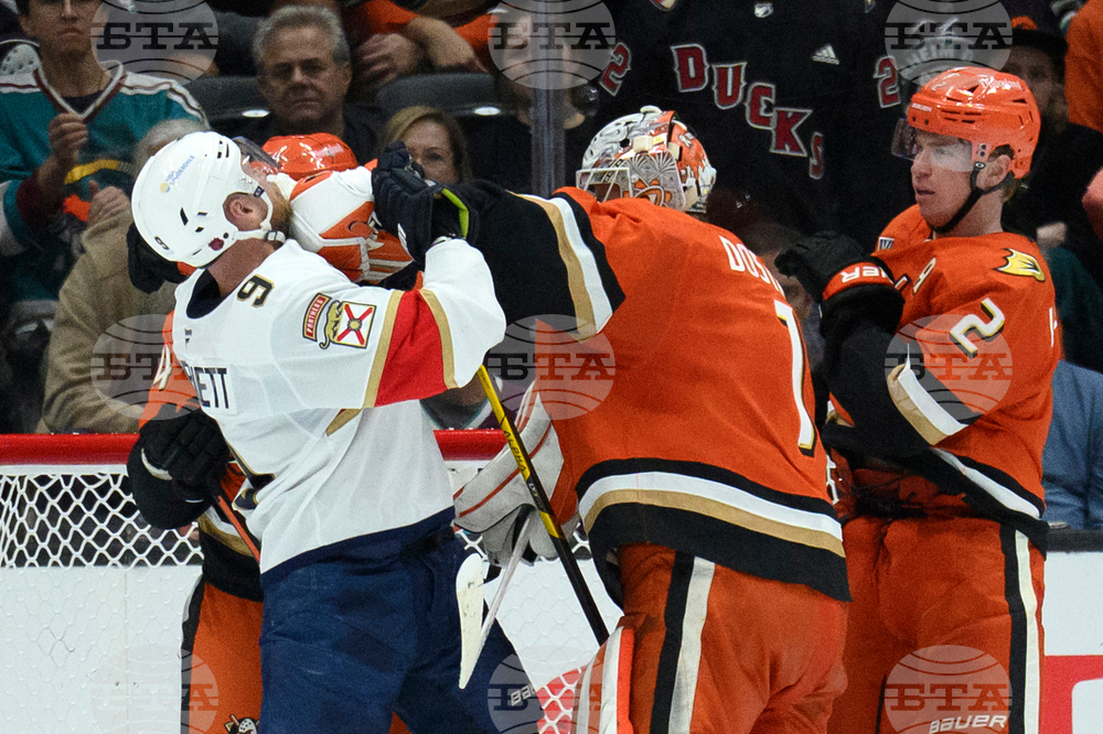 Panthers Ducks Hockey