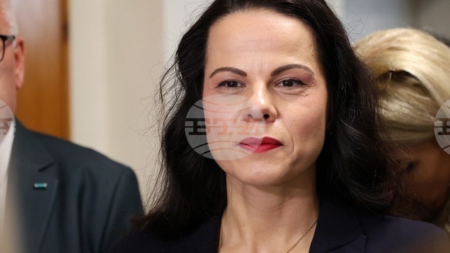 Health Minister Ivkova: No Official BCG Vaccine Information from Croatia, North Macedonia