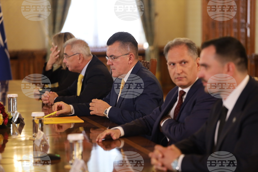 Румъния - Букурещ - президент - Алианс за обединение на румънците - консултации