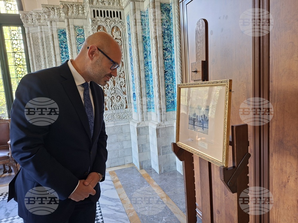 Нидерландия - Постоянен арбитражен съд - Велислава Петрова - дарение