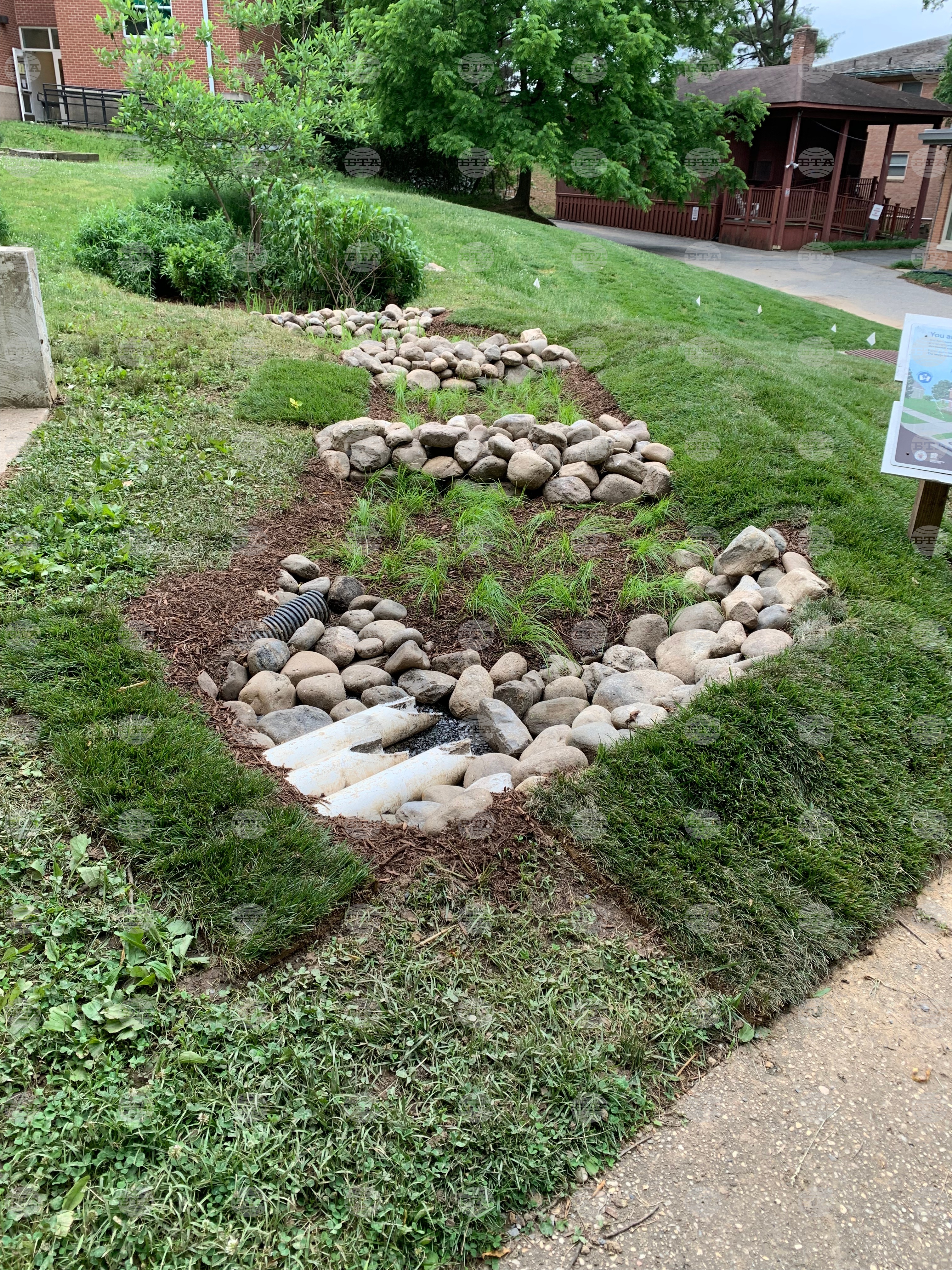 Gardening - Rain Gardens