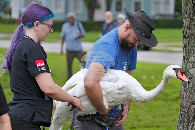 Florida Daily Life