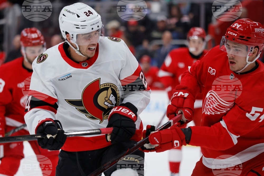Senators Red Wings Hockey