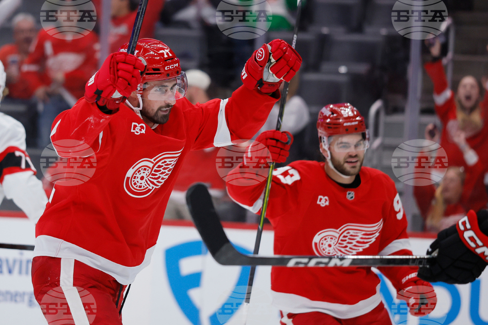 Senators Red Wings Hockey