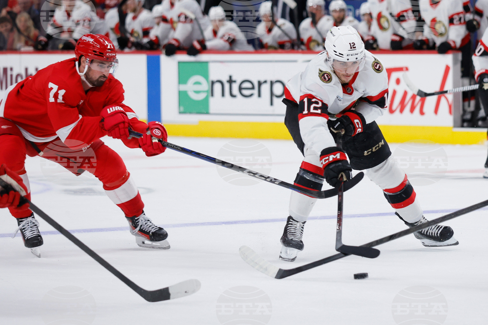 Senators Red Wings Hockey
