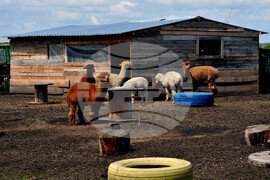 Бургас - зоопарк - нови обитатели