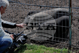 Бургас - зоопарк - нови обитатели