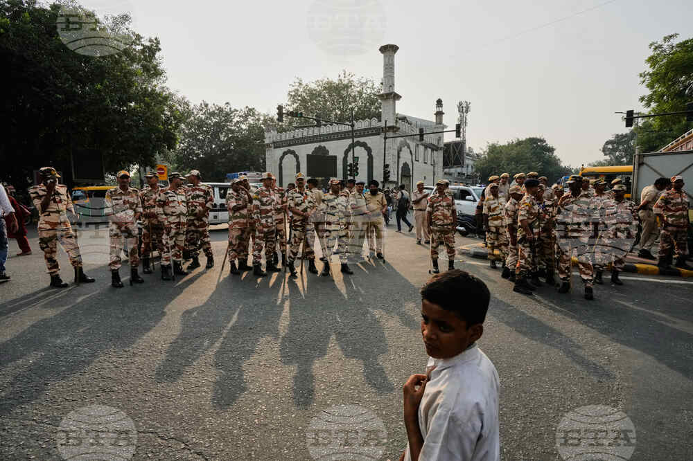 India Cockroach Protests