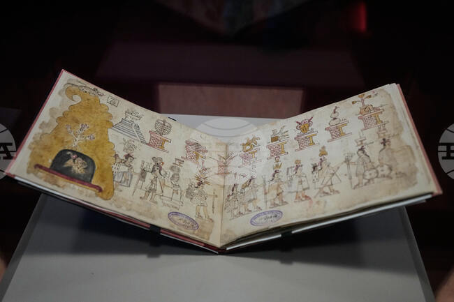 Mexico Indigenous Codex