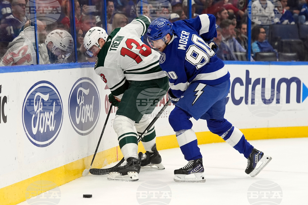 Wild Lightning Hockey
