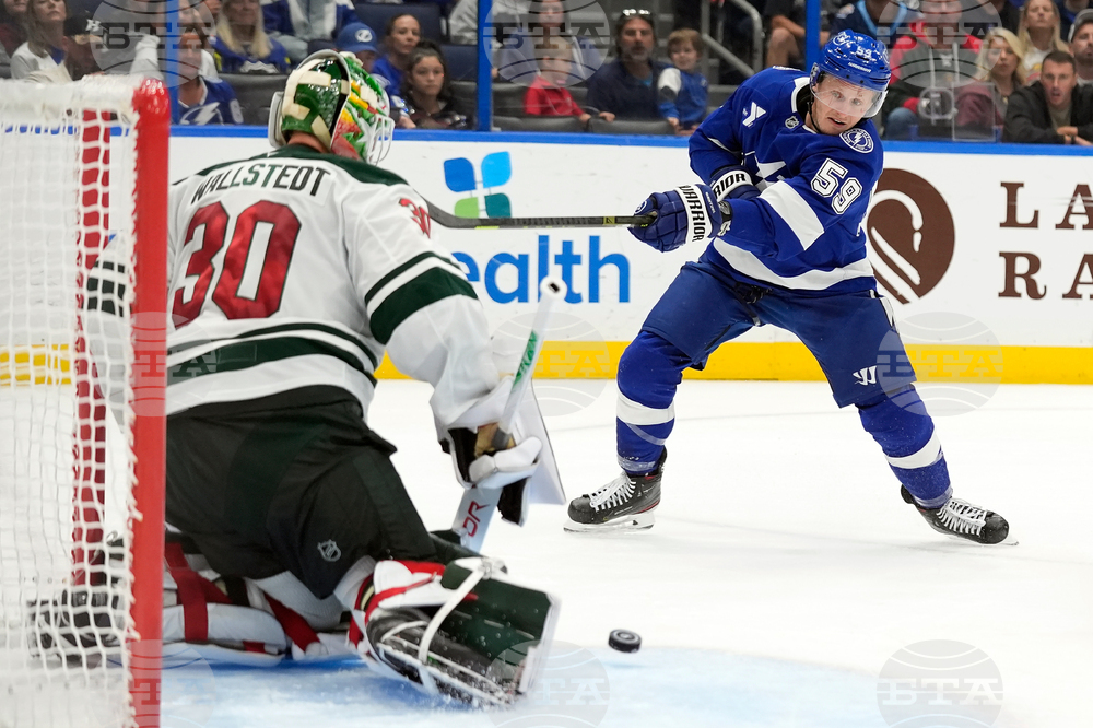 Wild Lightning Hockey