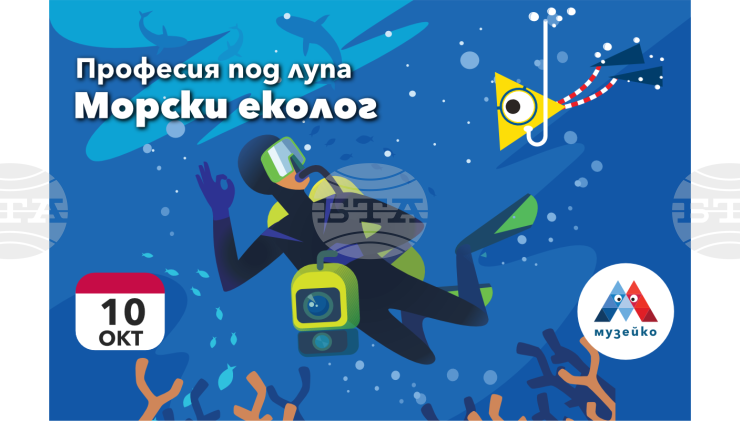 Моретата и океаните са акцент в октомврийската програма на „Музейко“
