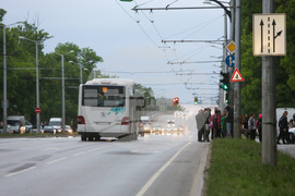 Катастрофа - инцидент - цветя