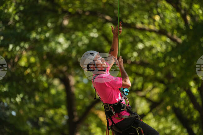 Tree Climbing Championship