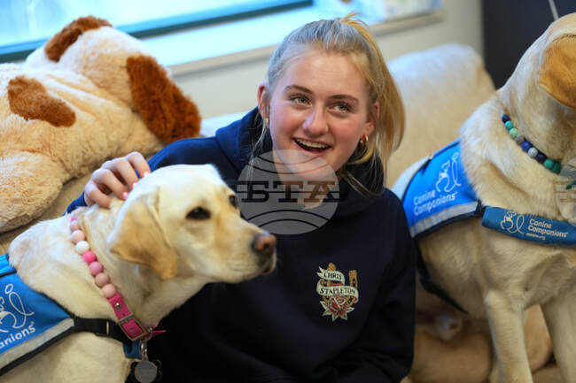 Trauma Dogs School Shooting