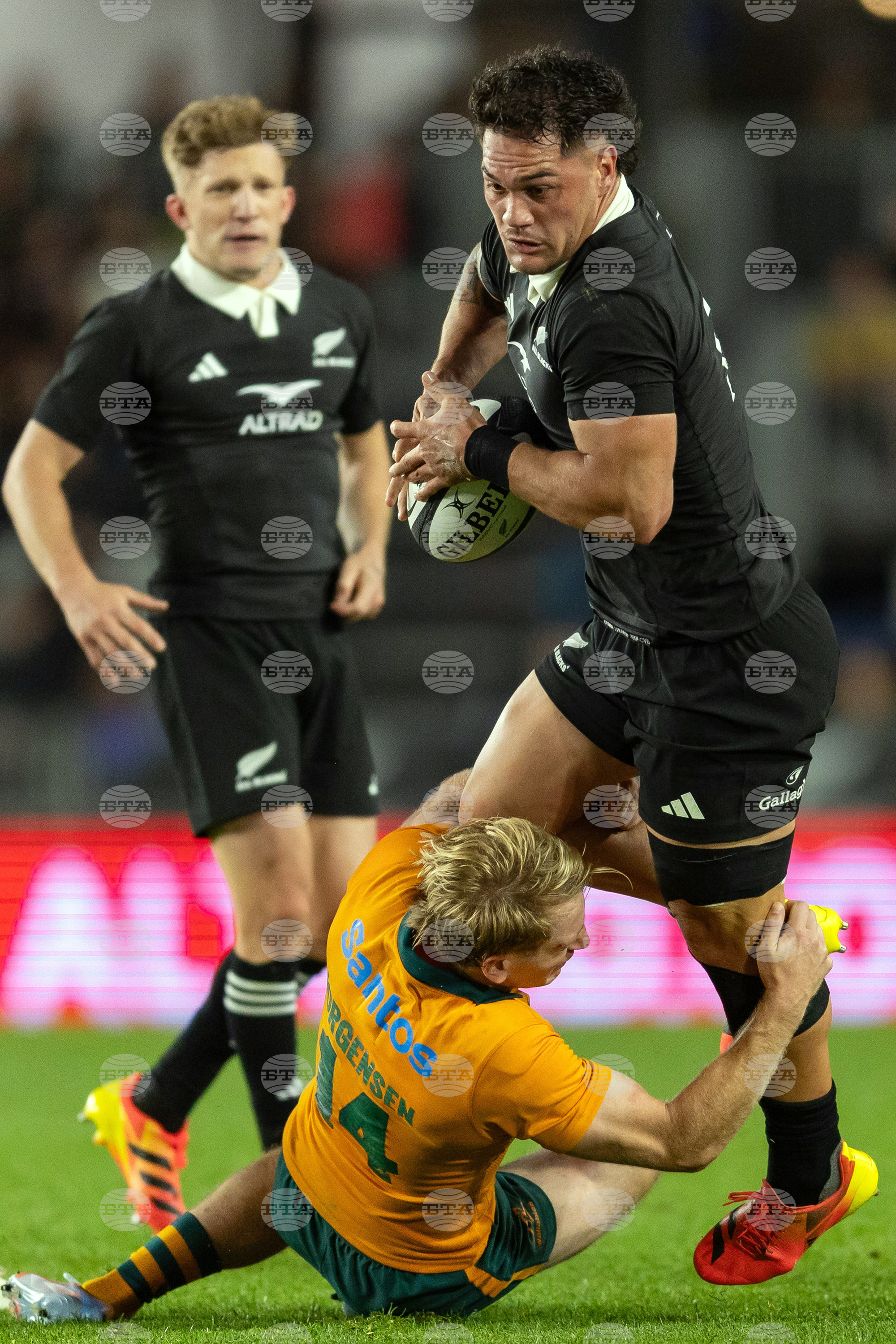 New Zealand Australia Rugby