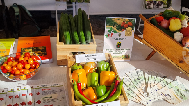 1st Gifts of Thrace Regional Agricultural Exhibition Opens in Southern Bulgaria