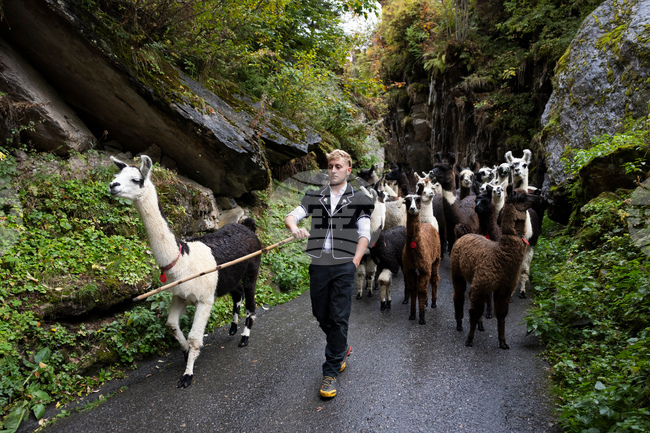 Switzerland Daily Life