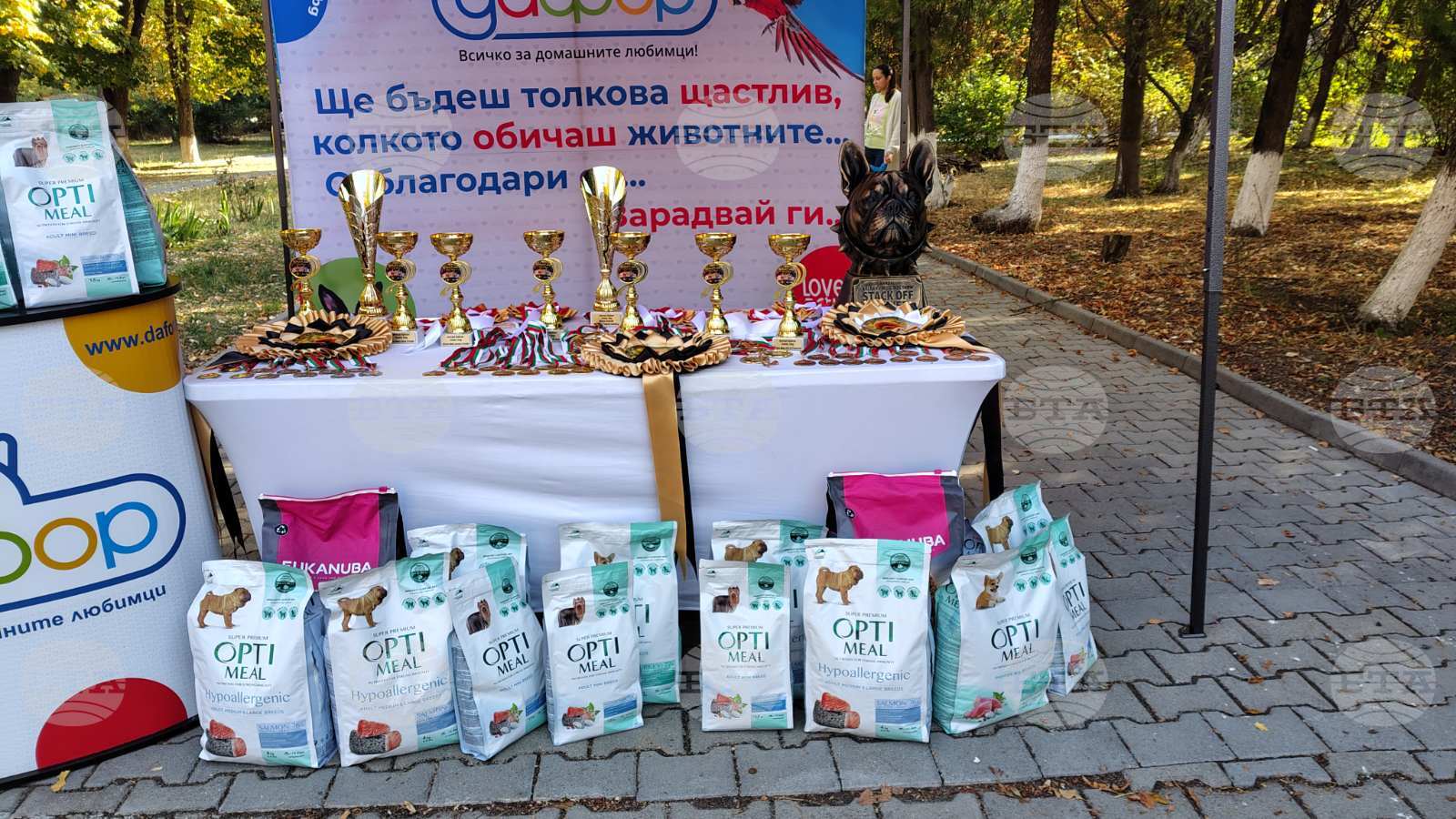 Близо 60 кучета бяха показани по време на киноложка изложба Balkan Exotic Dog Show в Стара Загора