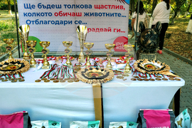 Стара Загора - киноложка изложба