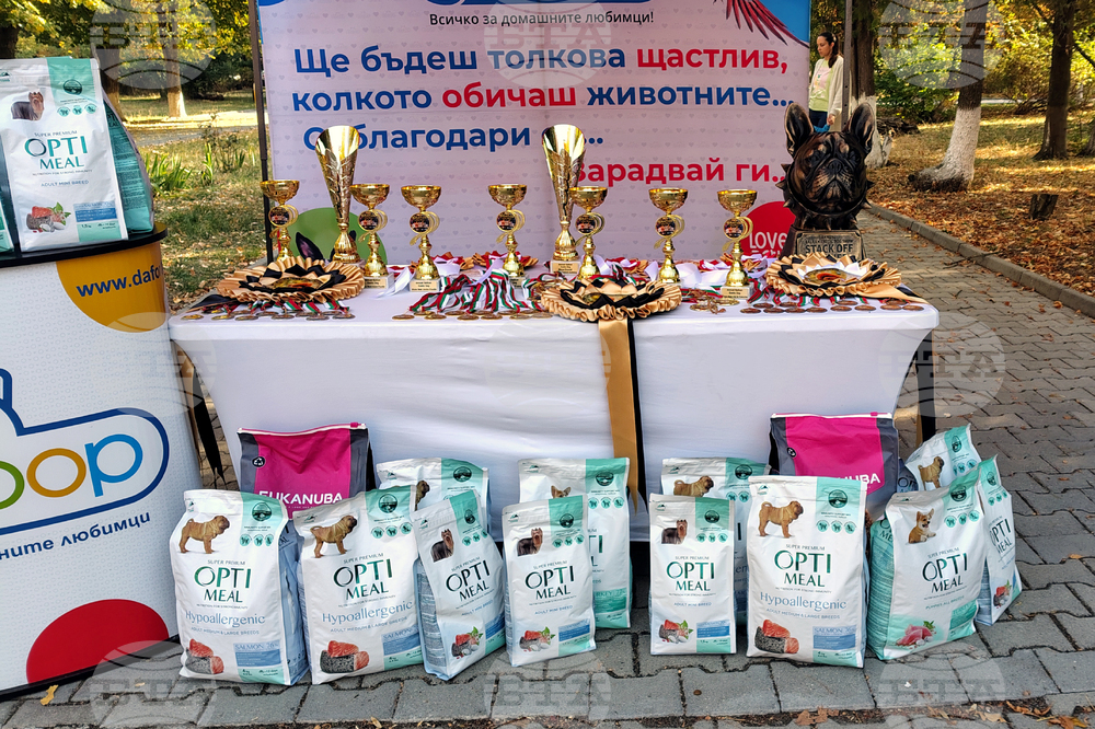 Стара Загора - киноложка изложба