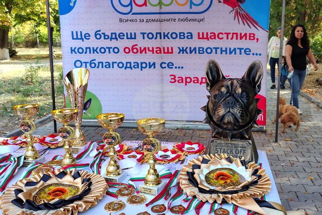 Стара Загора - киноложка изложба