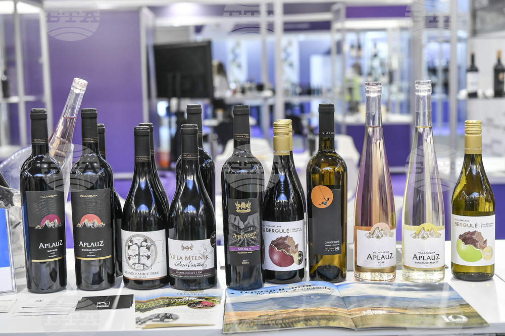 Сърбия - Белград - изложение Wine Vision by Open Balkan
