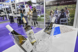 Сърбия - Белград - изложение Wine Vision by Open Balkan