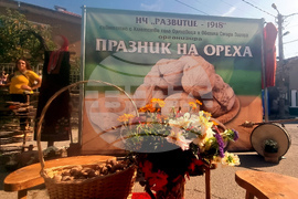 Стара Загора - Празник на ореха
