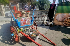 Стара Загора - Празник на ореха