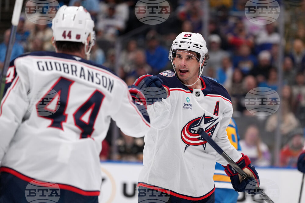 Blue Jackets Blues Hockey