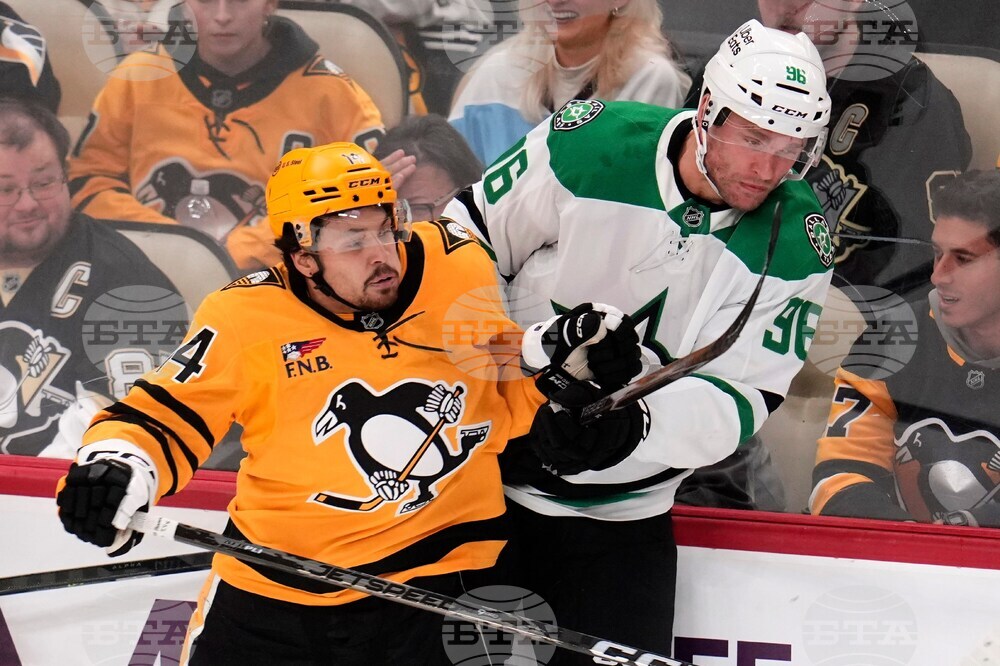 Stars Penguins Hockey