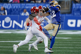 CFL Stampeders Blue Bombers Football