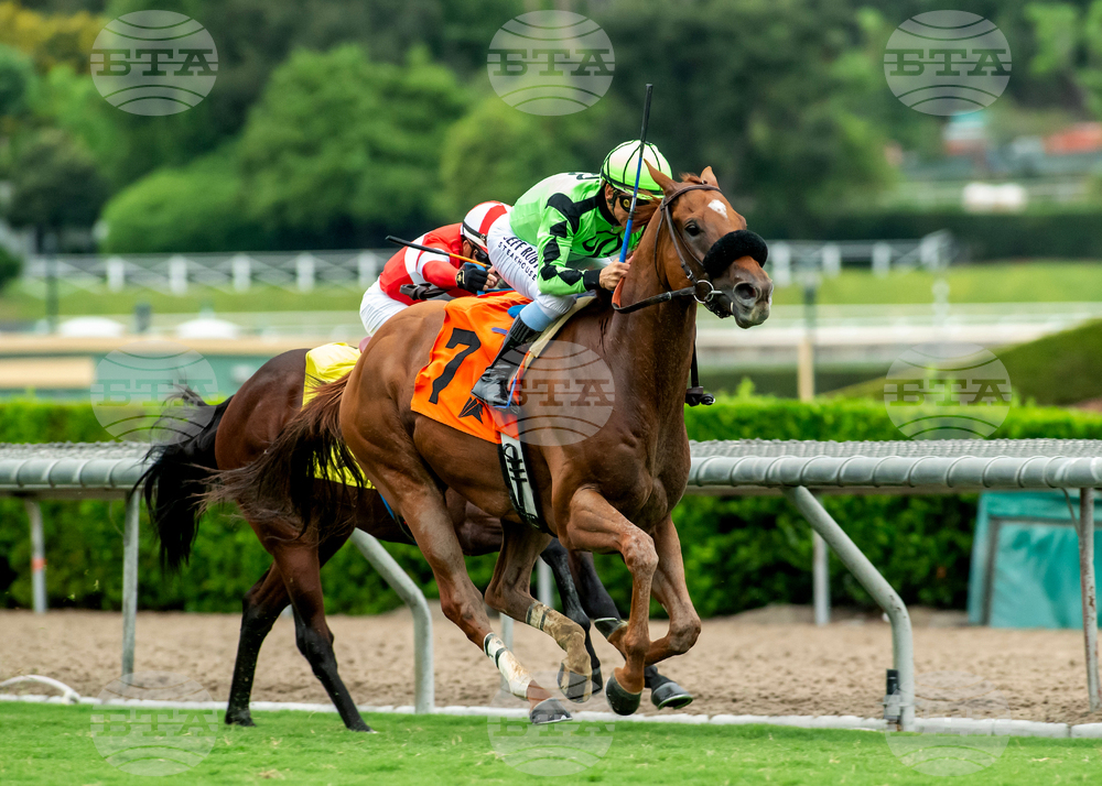 Santa Anita Horse Racing