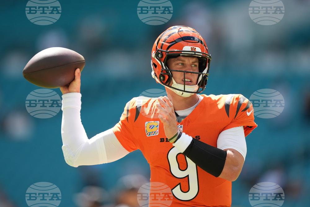 Bengals Dolphins Football