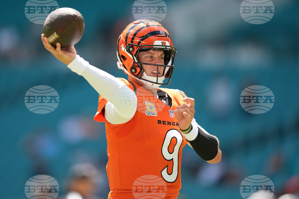 Bengals Dolphins Football