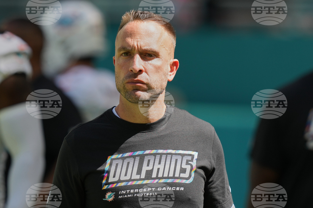 Bengals Dolphins Football