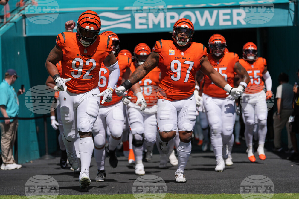 Bengals Dolphins Football