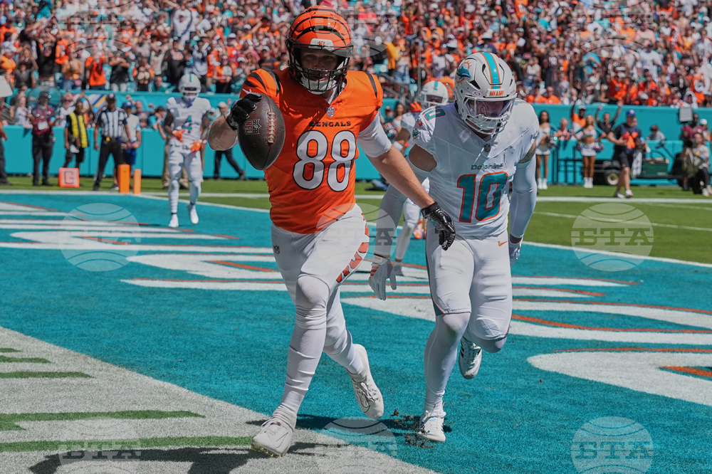 Bengals Dolphins Football