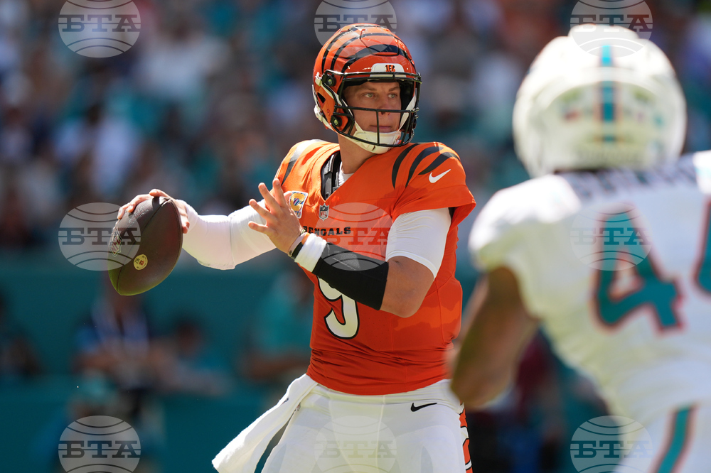 Bengals Dolphins Football