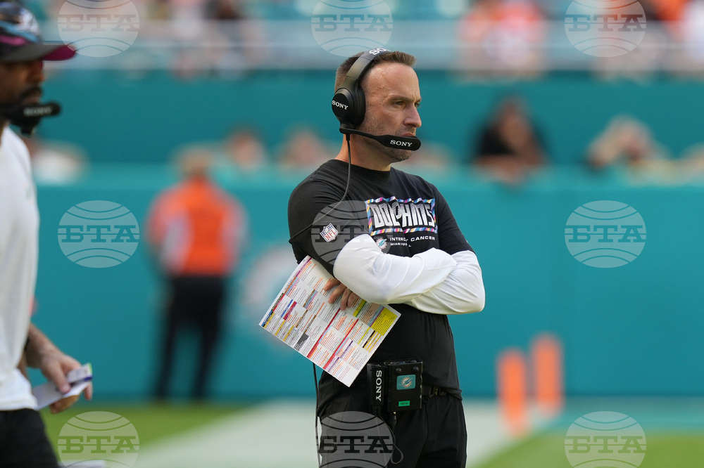 Bengals Dolphins Football