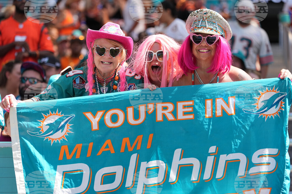 Bengals Dolphins Football