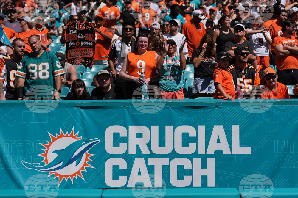 Bengals Dolphins Football