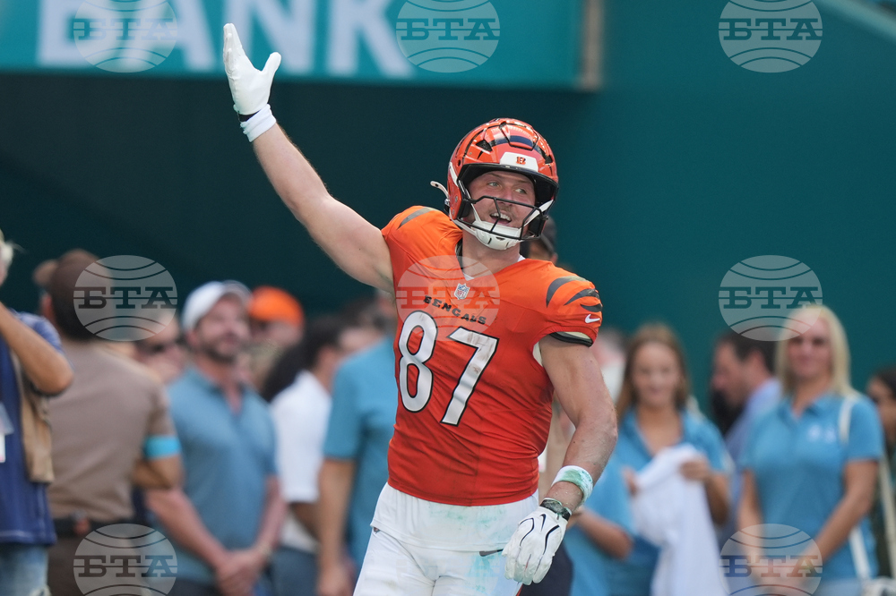 Bengals Dolphins Football