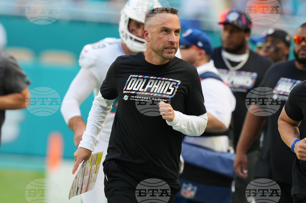 Bengals Dolphins Football
