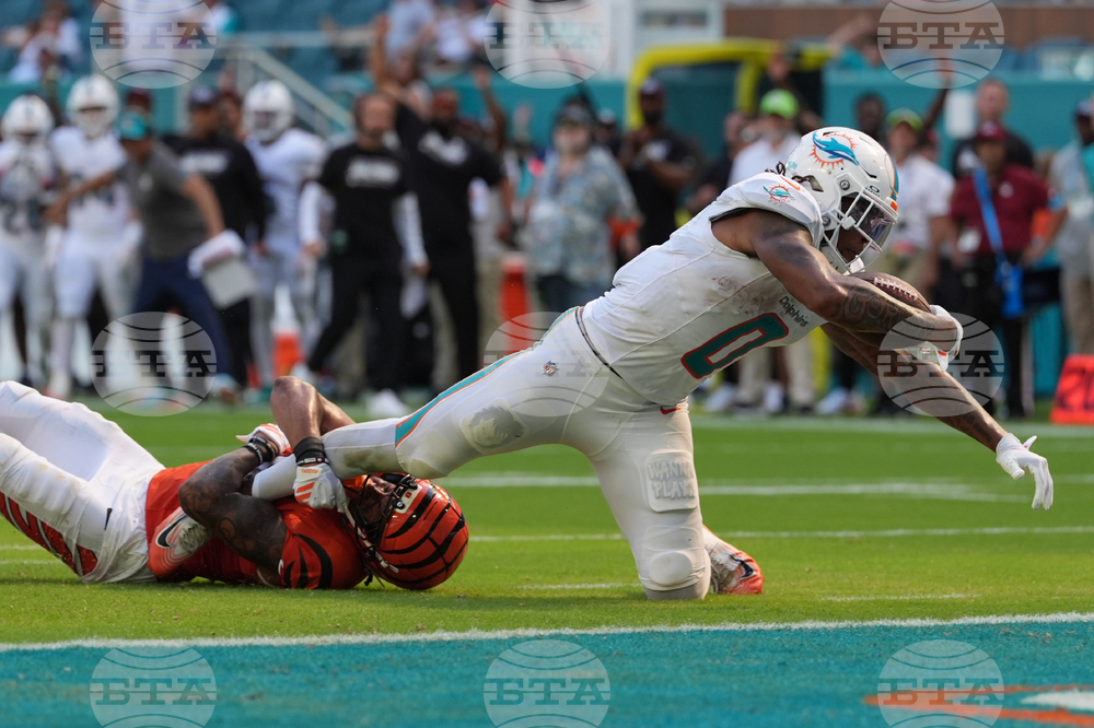Bengals Dolphins Football