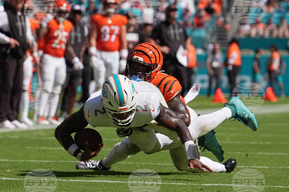 Bengals Dolphins Football