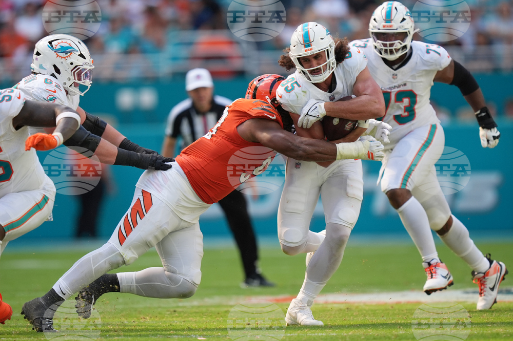 Bengals Dolphins Football